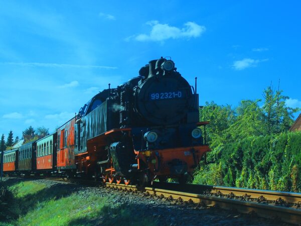 Черноморские курорты России и Абхазию свяжет туристический поезд